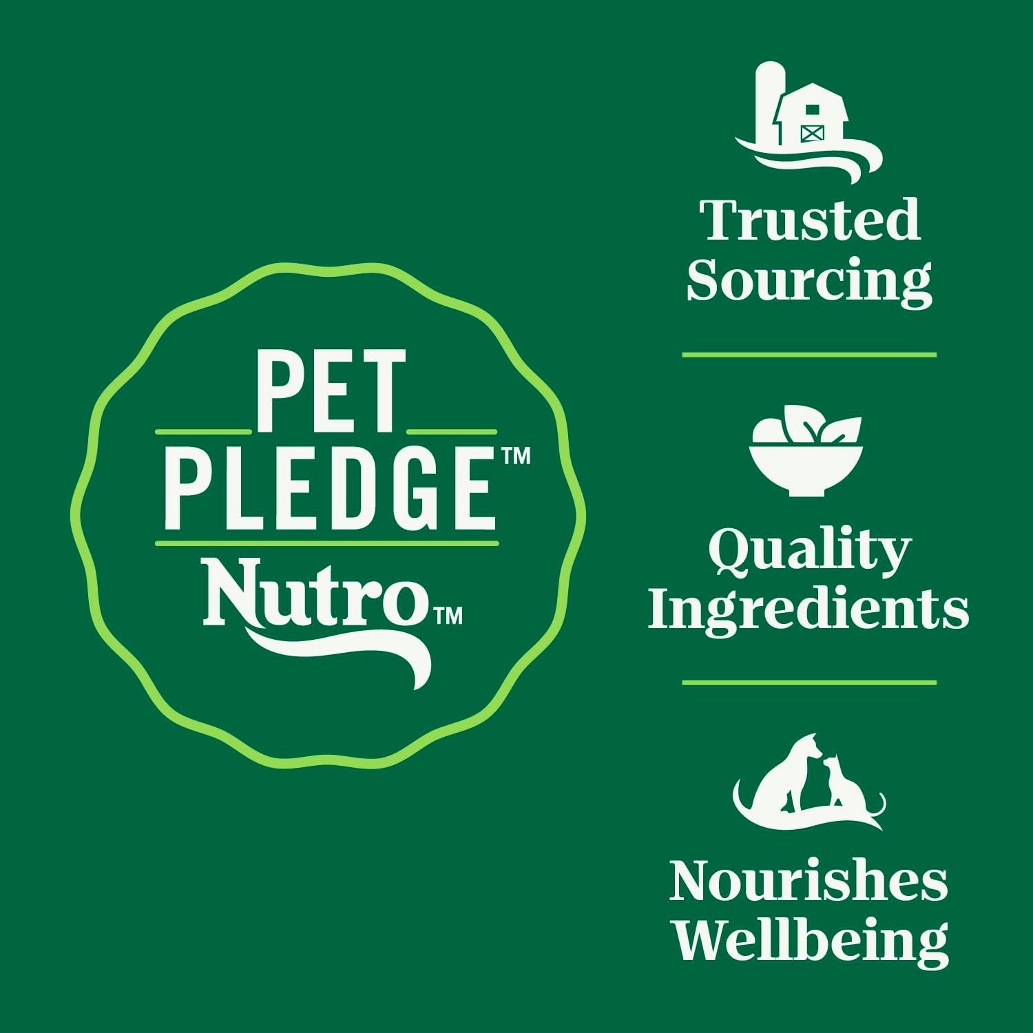 nutro-wholesome-essentials-sensitive-stomach-dry-cat-food-chicken-5-lb-real-chicken-1-ingredient-easily-digestible-omega-6-for-skin-coat-no-corn-wheat-soy-no-artificial-additives