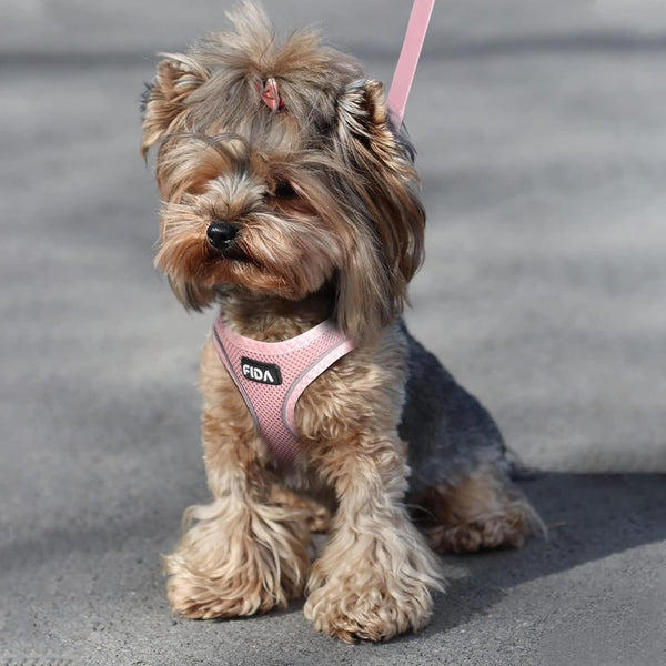 Fida Cat Harness and Leash Set for Walking Kitten and Puppy, Escape Proof Kitten Harness with Breathable Lightweight Soft Mesh, Adjustable Reflective Step-In Design. (XXXS, Pink)6