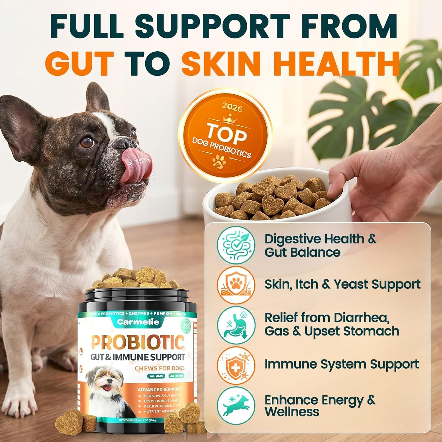 probiotics-for-dogs-gut-health-for-digestive-enzymes-200-chews-all-natural-probiotic-blend-to-support-yeast-itchy-skin-and-itchy-ears-allergies-immunity-diarrhea-gas-relief-chicken