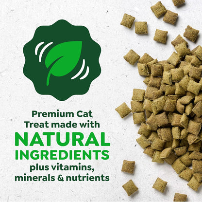 Greenies Feline Smartbites Kitten Treats, Chicken Flavor, 2.1 Oz | DHA for Brain & Vision Development, Supports Immune System, under 2 Cal/Treat, No Artificial Flavors/Preservatives, 1 Lb. Tub4