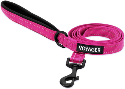Best Pet Supplies Voyager Nylon Dog Leash - Fuchsia, Small | 5Ft in Length, 5/8" in Width, Reflective, Soft Neoprene Handle, Heavy Duty Metal Clips for Running, Walking & Training1