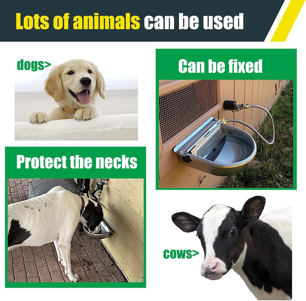 Automatic Water Bowl for Dog Large Size,Animal Drinking Water Bowl,Outdoor Dog Water Bowl,304 Stainless Steel Water Bowl with Float Valve, Drain Hole, Pipe,For Poultry and Livestock6