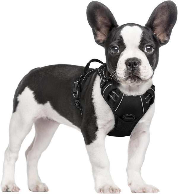 Rabbitgoo Dog Harness, No Pull for Large Dogs with 2 Leash Clips, Pet Vest | No Choke with Handle, Adjustable Soft Padded, Reflective, Easy Control for Walking, Black, Large71