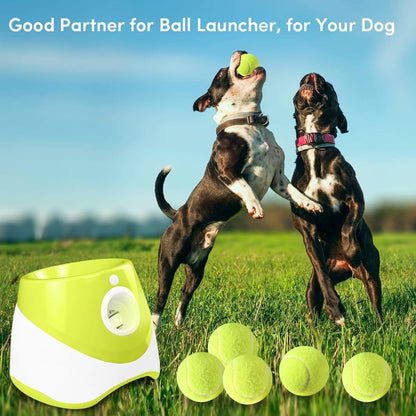 ZIYIZE Mini Tennis Balls, 6 Pack 2 Inch Dog Tennis Balls, Easy Catching Pet Playing Ball for 2 Inch Dog Ball Launcher3