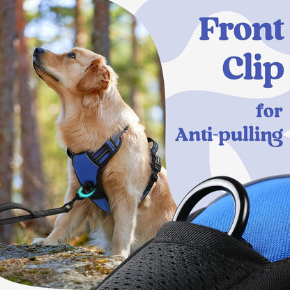 Rabbitgoo Dog Harness Medium Sized, Updated Easy on & off with 3 Buckles | No Pull No Choke, Walking with 2 Clips and Handle, Adjustable Soft Reflective, Blue, Medium7