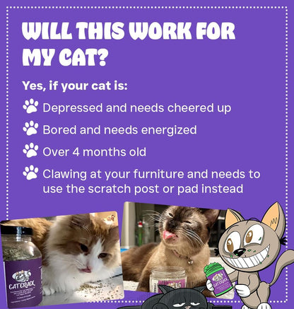Cat Crack Catnip, Zoomie-Inducing Cat Nip, 100% Natural North American Made | 100% Natural, Safe & Non-Addictive Catnip Treats Used to Supplement Cat Nip Toys, Spray, & Accessories (1 Cup)3