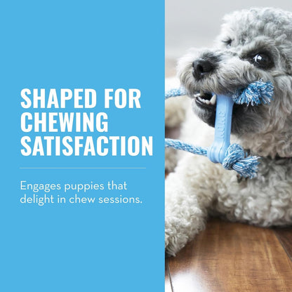 KONG Puppy Goodie Bone with Rope, Natural Rubber, for XS Puppies, Blue | KONG Natural Rubber Bone with a Cotton Rope for Teeth Cleaning & Engaging Chew Play for Growing, Teething Puppies2