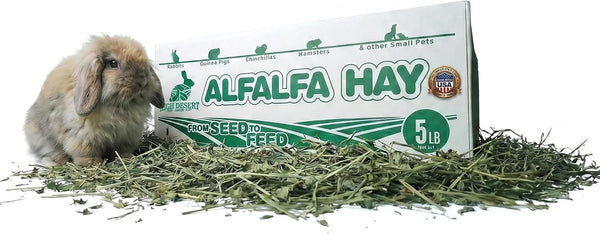 High Desert Alfalfa Hay, Protein Rich Soft Leaf Food for Young Growing Animals, Natural Rabbit Food and Guinea Pig Hay, Supports Digestive Health, Small Pet Supplies, Fresh Hand Packed 5 Lb Box | Protein Rich Soft Leaf Forage, Ideal for Growing Kits and Nursing Mothers, Great Calcium Source, Hand Packed, Low Dust1