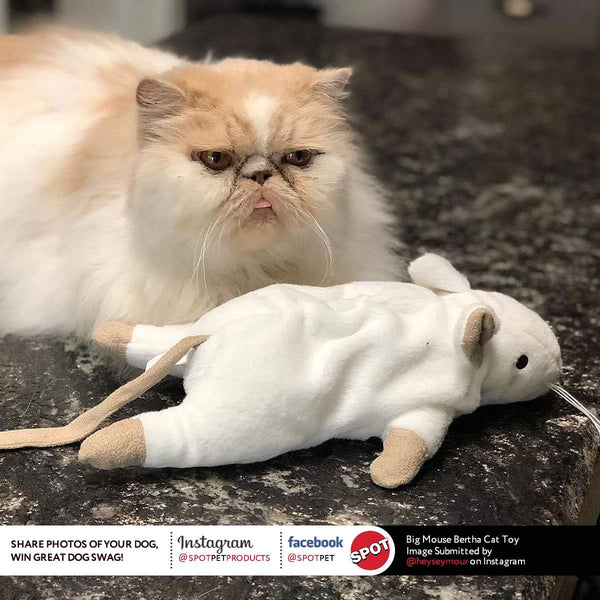 SPOT Big Mouse Bertha Cat Toy with Catnip – Lifelike Plush Mouse, Crinkle Sound, Large 7In Size, for Cuddling, Chasing, Playing – Assorted Colors8
