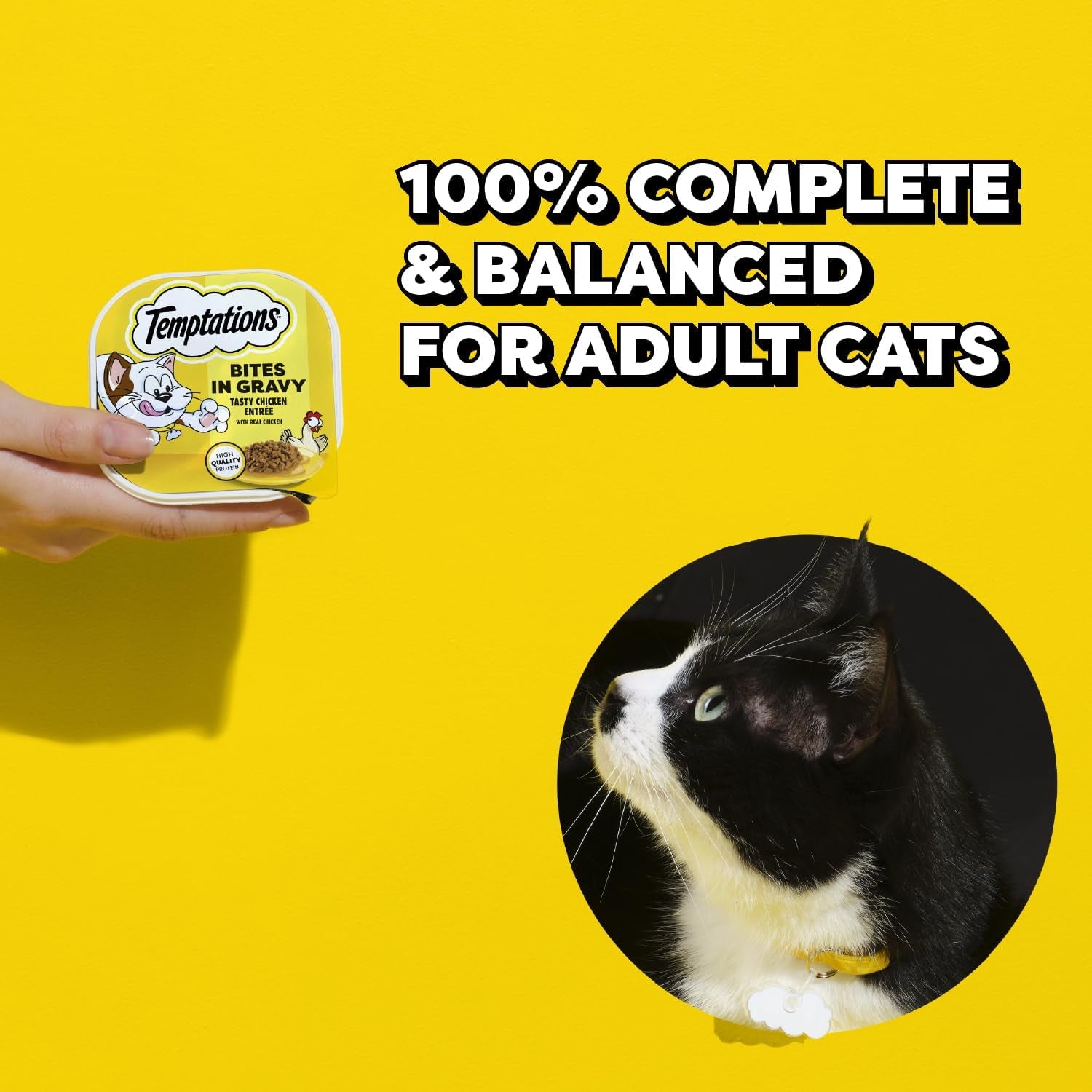 temptations-bites-in-gravy-wet-cat-food-variety-pack-3-5-oz-36-count-chicken-seafood-medley-backyard-cookout-catnip-fever-no-artificial-flavors-3-5-oz-trays-100-complete-balanced