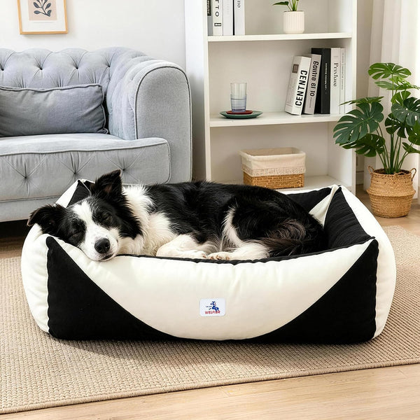 Cotton Canvas Dog Bed (290Gsm Thick), 24"X20"X8" Durable Waterproof | Cute Dog Beds for Small Dogs, Orthopedic Bed with Washable Removable Cover, Anti-Chewing Pet Bed Anti-Slip Black&White9