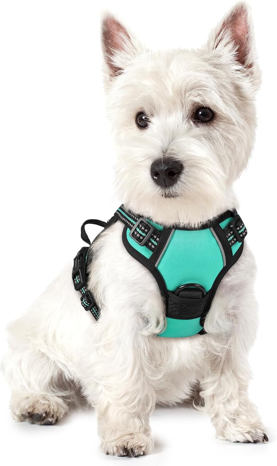 rabbitgoo-dog-harness-no-pull-for-large-dogs-with-2-leash-clips-pet-vest-no-choke-with-handle-adjustable-soft-padded-reflective-easy-control-for-walking-black-large