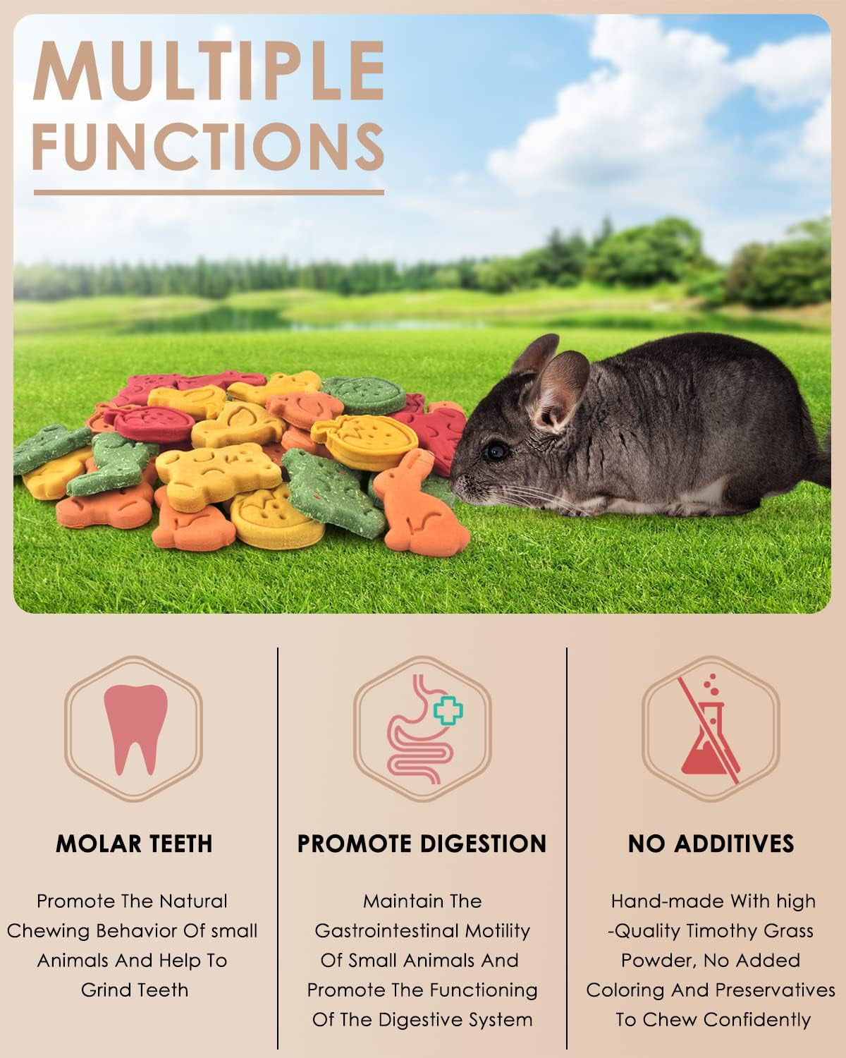 bissap-32pcs-bunny-chew-toys-mixed-natural-timothy-hay-pumpkin-strawberry-carrot-chinchillas-chewing-toys-and-treats-for-rabbit-bunny-guinea-pig-hamster-gerbil-and-other-small-animals-molar-snacks
