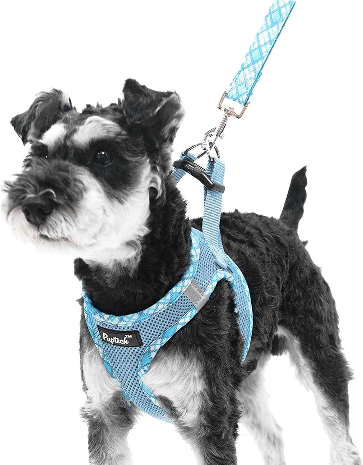 pupteck-dog-harness-and-leash-set-for-small-medium-dogs-no-pull-step-in-soft-mesh-puppy-cat-vest-harnesses-reflective-at-night-green-s