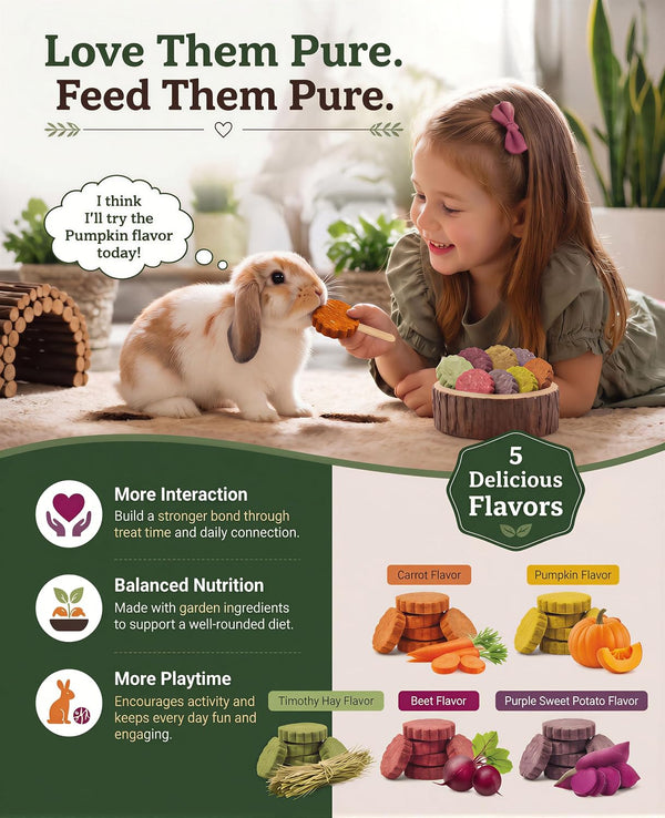 C-LIGHT Guinea Pig Chew Toys, Rotating Spinner + 8 Pcs Timothy, 5 Viggies | Hay for Teeth Grind & Digestion, Rust-Proof Aluminum Toy, for Rabbit, Bunny, Chinchilla, Hamster Dental Health (Sliver)7