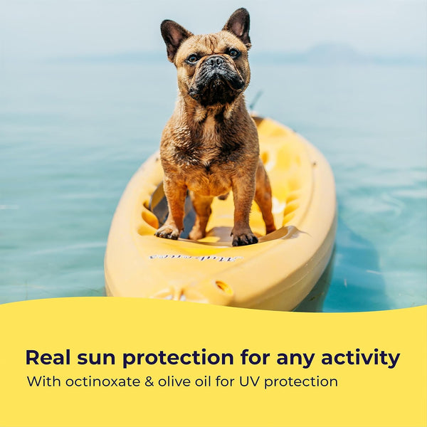 Gentle Creatures Pet Sun Protector - Dog Sunscreen SPF 30+ Eq - Skin Moisturizing Vitamin E, Olive Oil - No Zinc Oxide Safe for Dogs and Cats - Dog Beach, Camping Accessories, Sunscreen for White Dogs5