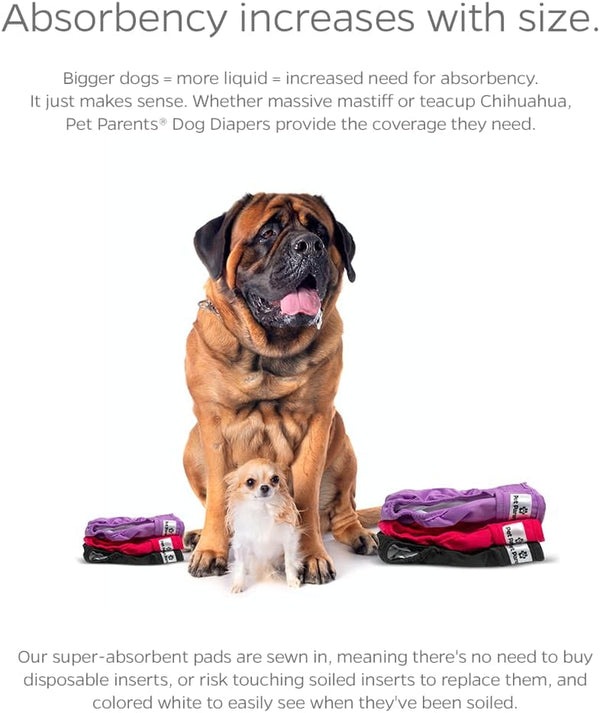 Pet Parents® Washable Dog Diapers (3Pack) + Extendrs® of Durable Doggie Diapers, Premium Dog Diapers Female (Large, Princess)4