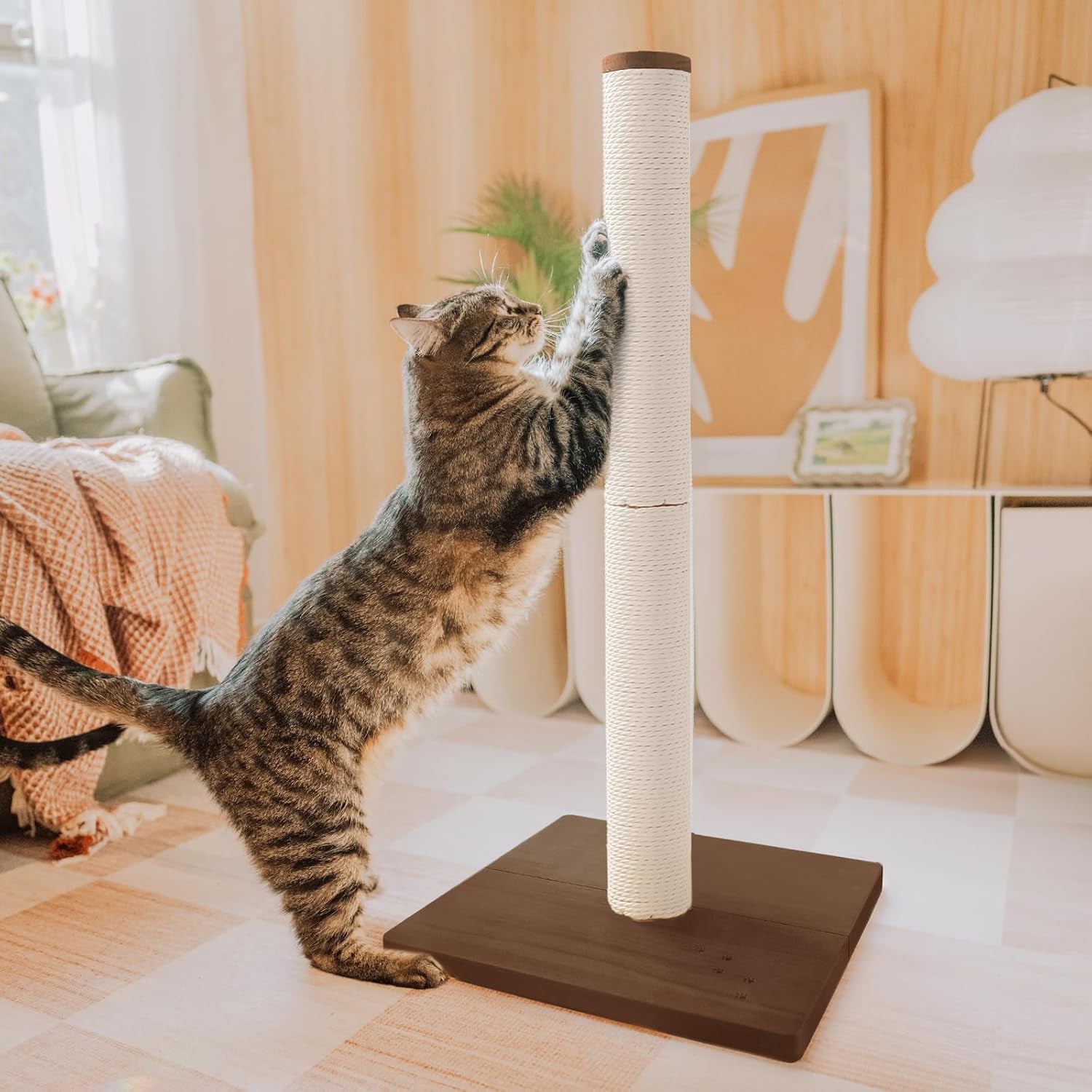 necoichi-23-6-tall-cat-scratching-post-kitten-scratcher-paper-rope-scratch-posts-trees-with-hanging-for-indoor-cats-23-6-inches-for-kitty-regular-oak