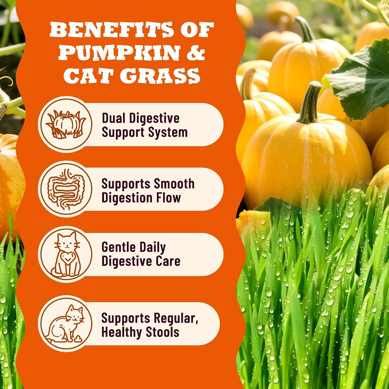 lickable-cat-treats-with-lick-up-spoons-healthy-wet-cat-snacks-for-digestive-support-grain-free-kitten-treats-with-taurine-vitamins-cat-grass-pumpkin-variety-pack-32-spoons