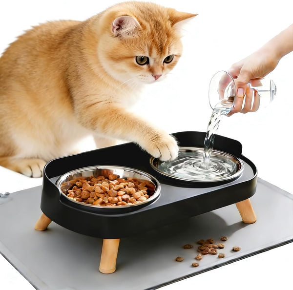 Elevated Cat Bowls with Food Mat, Splash Proof anti Vomiting Raised Cat Food and Water Bowl Set, 2 Stainless Steel Dishes for Cats and Puppy, Pet Bowl for Indoor Cats White7