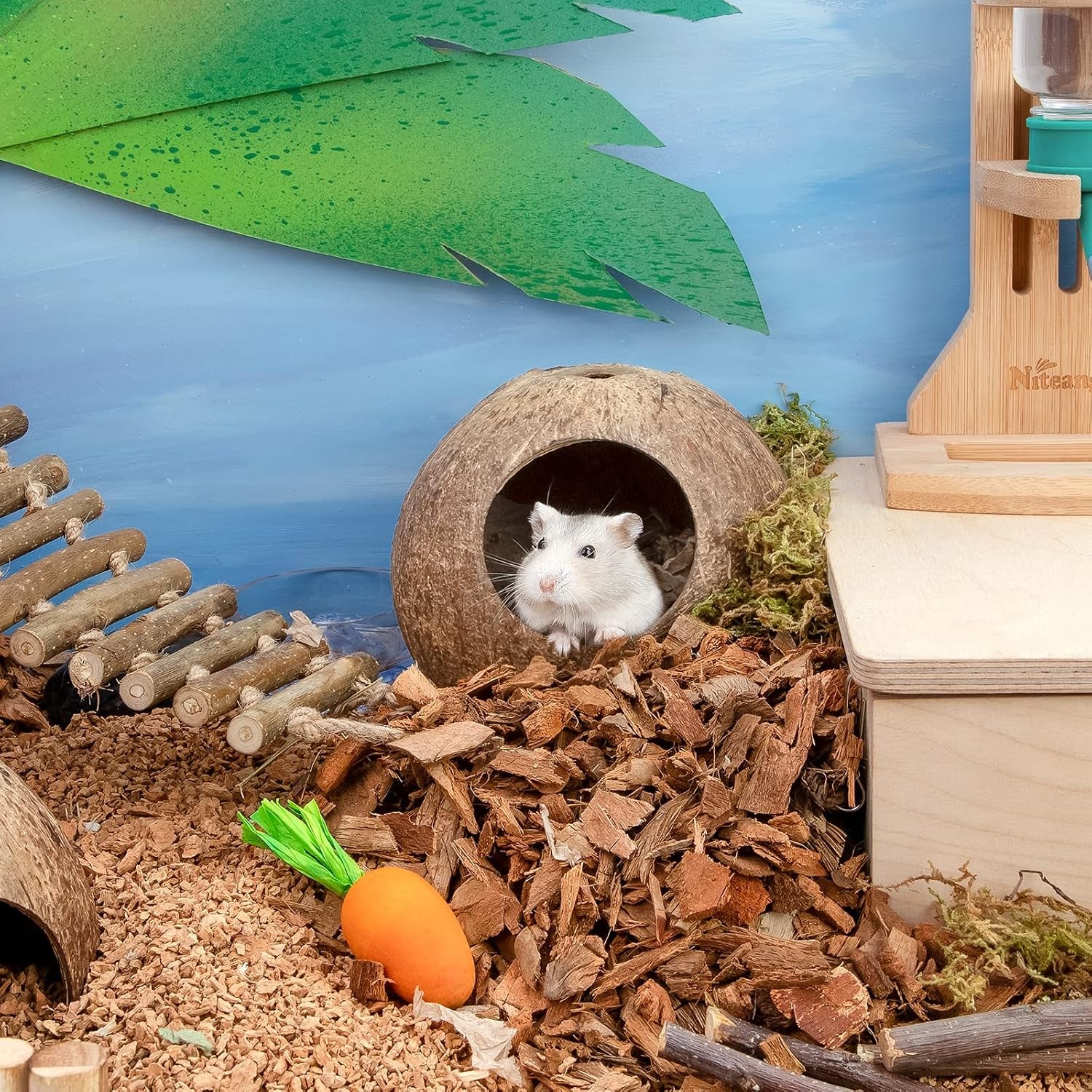 andwe-coconut-hut-hamster-house-bed-for-gerbils-mice-small-animal-cage-habitat-decor