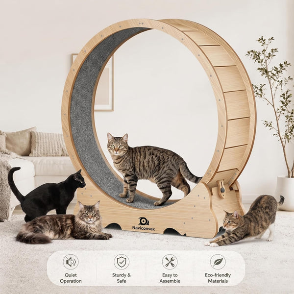Cat Wheel, 46" XL Large Exercise Running Wheels with Detachable Carpet for Indoor Cats3
