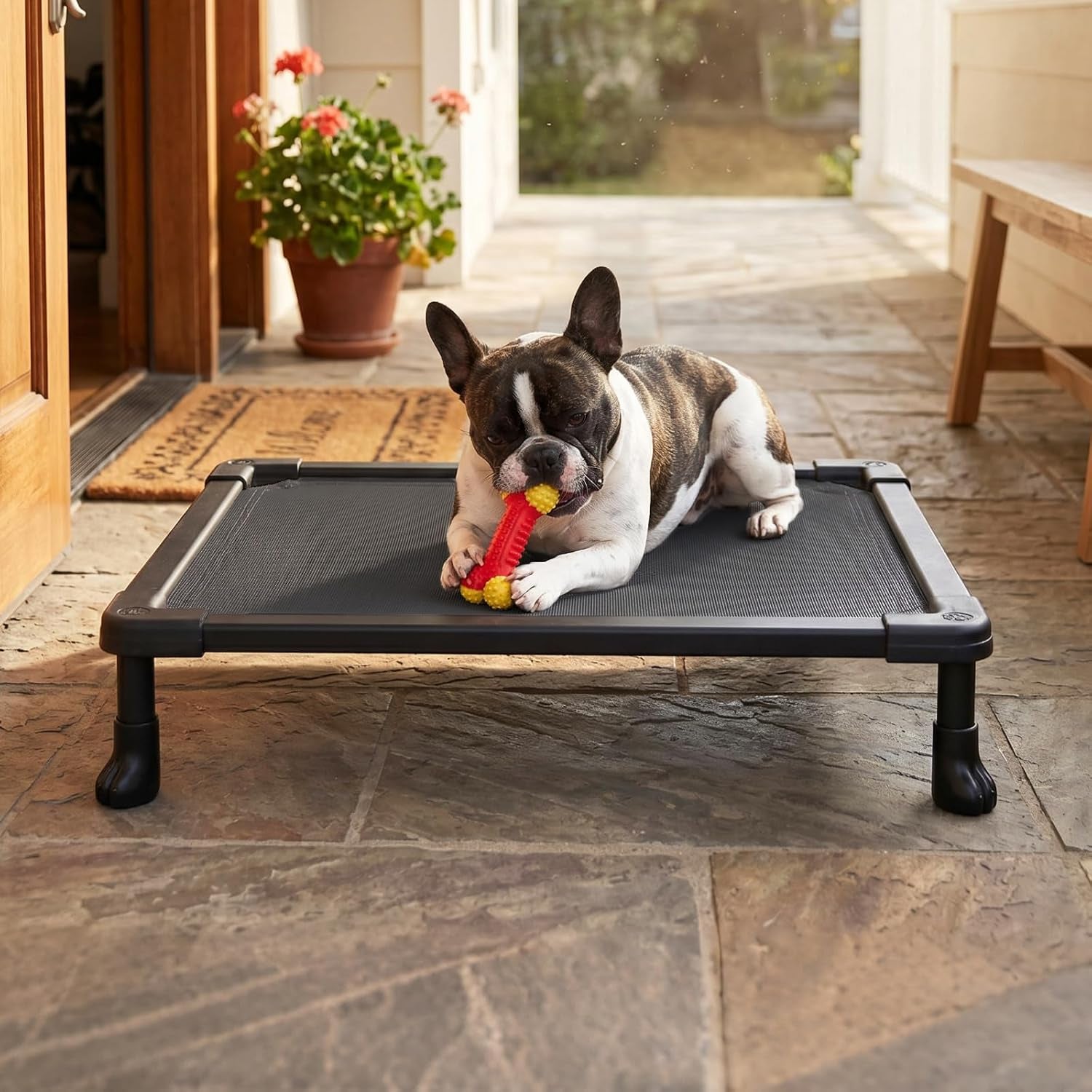 veehoo-elevated-dog-bed-small-chew-proof-dog-bed-pre-assembled-24-x-17-cooling-raised-dog-bed-indestructible-dog-bed-for-crate-non-slip-feet-breathbale-teslin-mesh-indoor-outdoor-use-black