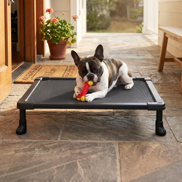 Veehoo Elevated Dog Bed Small, Chew Proof Dog Bed Pre-Assembled, 24" X 17" | Cooling Raised Dog Bed, Indestructible Dog Bed for Crate, Non-Slip Feet, Breathbale Teslin Mesh, Indoor Outdoor Use, Black7