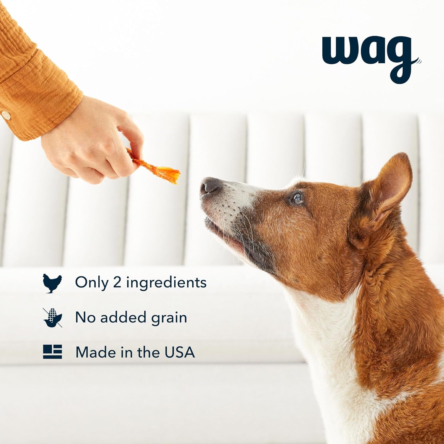 amazon-brand-wag-whole-muscle-chicken-jerky-dog-treats-1-lb-made-in-usa