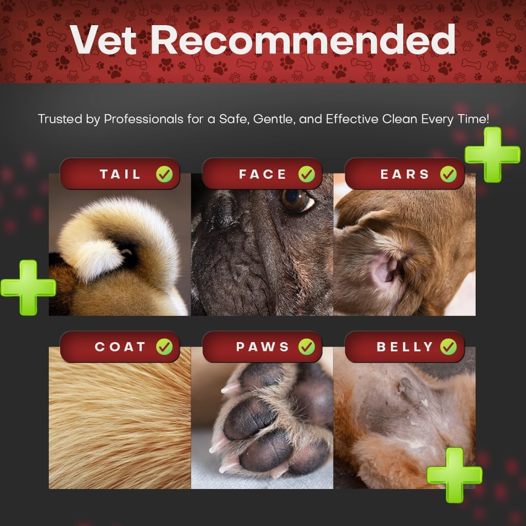 petazy-2-chlorhexidine-wipes-for-dogs-3x-larger-yeast-infection-ringworm-fungus-hot-spot-itch-relief-medicated-antibacterial-antifungal-gentle-soothing-topical-wipes-for-dog-cat-50-wipes-5x6