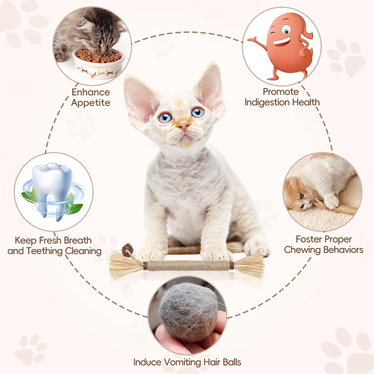 5-pack-silvervine-sticks-cat-toys-natural-chew-kitten-teething-toys-for-cleaning-matatabi-catnip-treat-toys-catmint-silver-vine-sticks-for-bored-indoor-kitty
