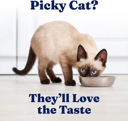 Solid Gold Wet Cat Food Pate for Indoor Cats - Healthy Canned Cat Food Pate W/Real Chicken, Omega Fatty Acids, Vitamins & Minerals - Grain Free & Gluten Free Can Meals for Cats & Kittens - 24Ct/3Oz7