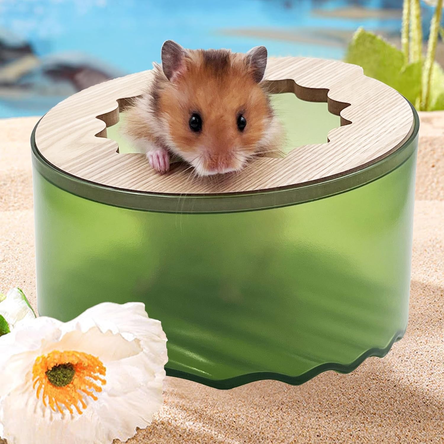 hamster-sand-bath-box-small-animal-bathroom-digging-room-easy-to-clean-for-dwarf-syrian-hamster-gerbil