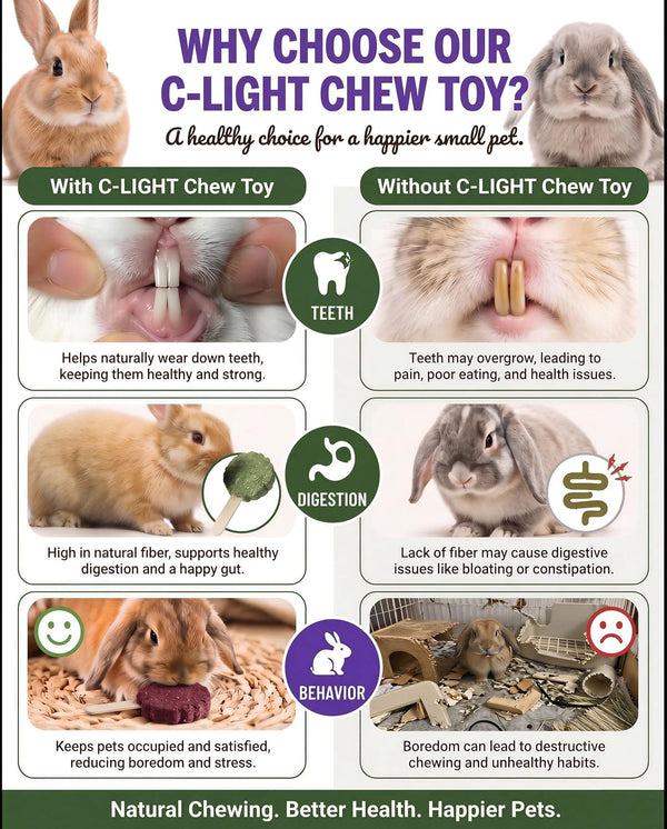 C-LIGHT Guinea Pig Chew Toys, Rotating Spinner + 8 Pcs Timothy, 5 Viggies | Hay for Teeth Grind & Digestion, Rust-Proof Aluminum Toy, for Rabbit, Bunny, Chinchilla, Hamster Dental Health (Sliver)8