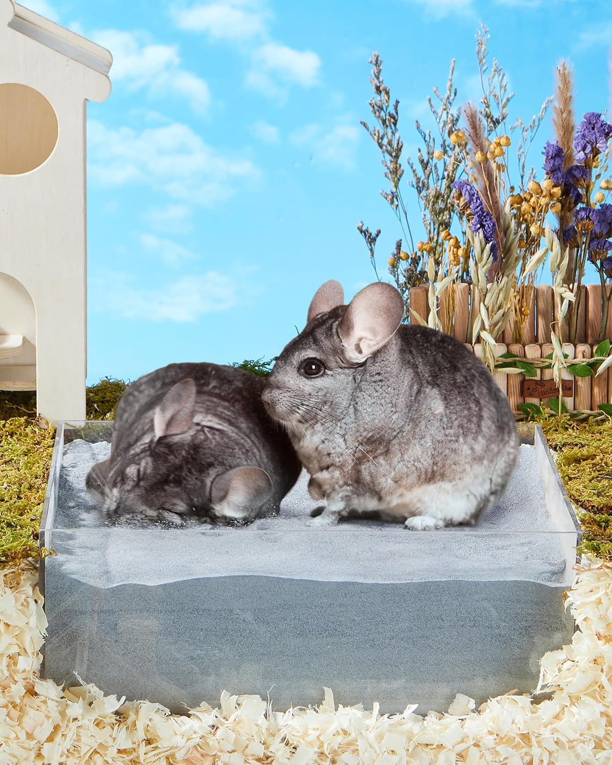 chinchilla-dust-bath-gentle-powder-for-hamsters-gerbils-18oz-natural-sand-bath-for-healthy-fur-safe-for-chinchillas-hamsters-gerbils-small-pets-gentle-premium-dusting-powder