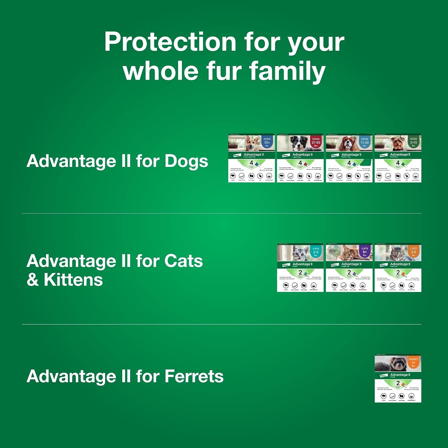 advantage-ii-ferret-vet-recommended-flea-treatment-prevention-ferret-1-lbs-2-month-supply