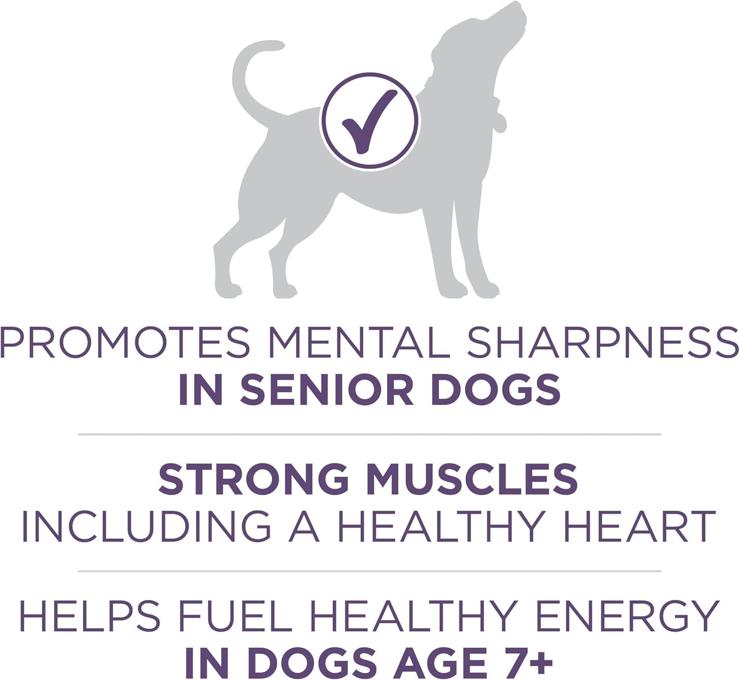 purina-one-high-protein-dry-senior-dog-food-plus-vibrant-maturity-adult-7-plus-formula-8-lb-bag