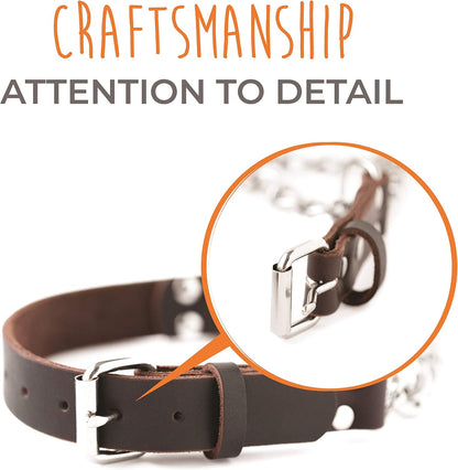 Mighty Paw Martingale Dog Collar - No Pull Design - Stainless Steel Chain - Limited Chain Cinch Training - Brown Leather Martingale Training Collar - Medium Size7