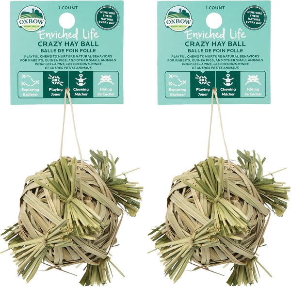 Oxbow Crazy Hay Ball, Rabbit & Guinea Pig Toys, Bunny Enrichment Toys | Rabbit Chew Toys, Guinea Pig Enrichment, Guinea Pig Chew Toys, Rabbit Enrichment, Timothy Hay, Small Pet Accessories9