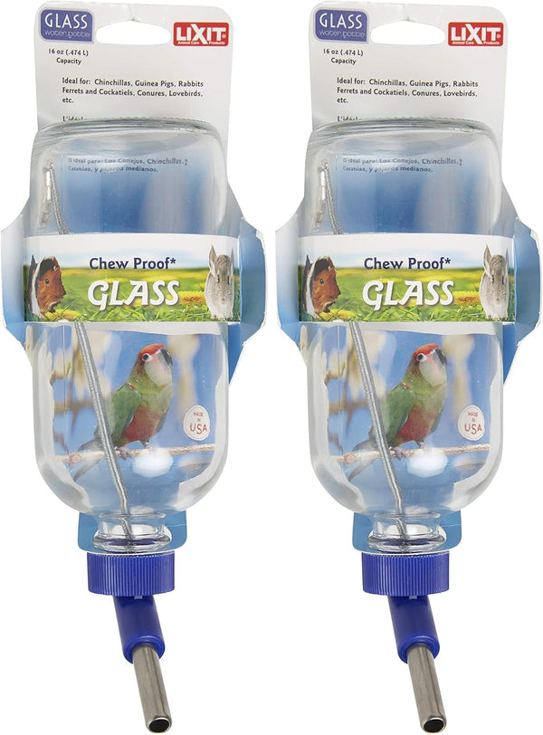Lixit Glass Water Bottles for Small Animals and Birds (16Oz), Clear (COMINHKR016337)7