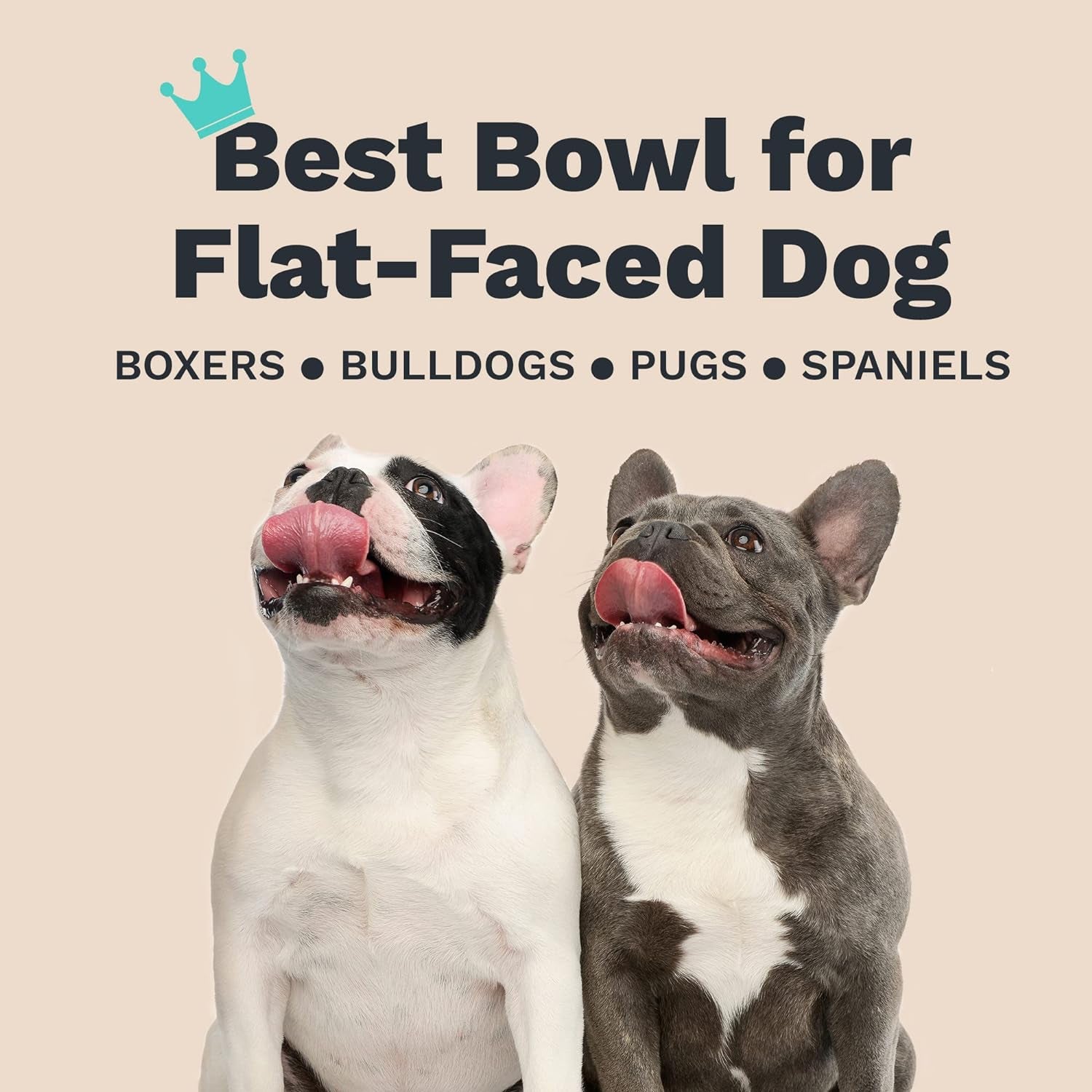 enhanced-pet-bowl-stainless-steel-slanted-dog-bowl-with-raised-ridge-for-flat-faced-dog-breeds-or-cats-food-grade-non-slip-no-spill-bowl-for-dogs-less-mess-less-gas-and-better-digestion-small