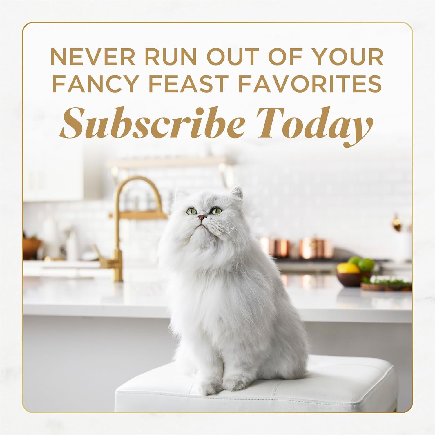 purina-fancy-feast-savory-centers-gourmet-wet-cat-food-pate-with-chicken-and-gravy-center-pack-of-24-3-oz-cans