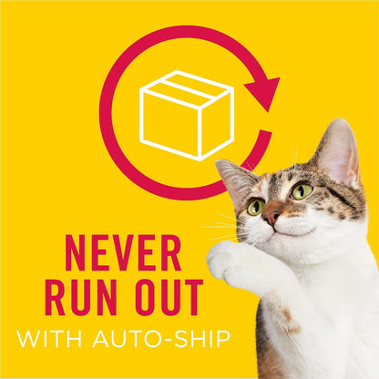 Purina Friskies Wet Cat Food Pate, Poultry Platter - (Pack of 24) 5.5 Oz. Cans10