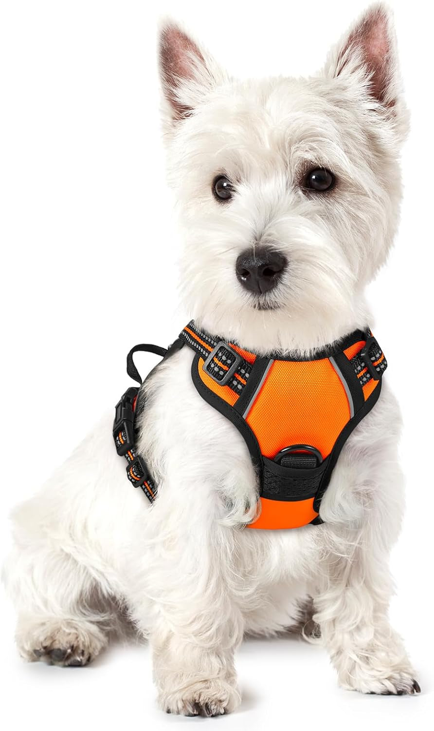 rabbitgoo-dog-harness-no-pull-for-large-dogs-with-2-leash-clips-pet-vest-no-choke-with-handle-adjustable-soft-padded-reflective-easy-control-for-walking-black-large