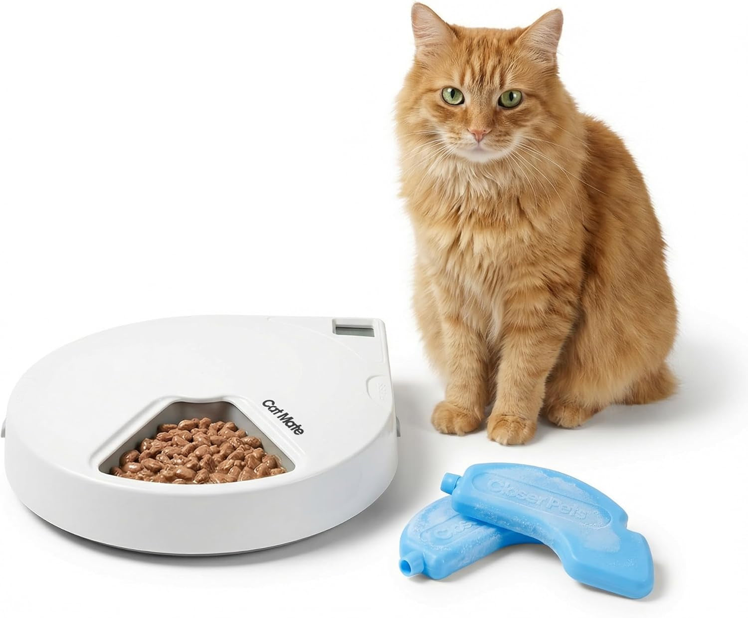 cat-mate-c500-automatic-pet-feeder-with-digital-timer-for-cats-and-small-dogs