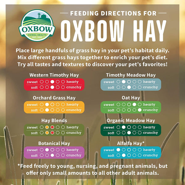 Oxbow Oat Hay, Rabbit & Guinea Pig Hay, High Fiber for Digestive Health, Grown in the USA, Veterinarian Recommended Small Pet Supplies, for Rabbits, Guinea Pigs, & Chinchillas, 15 Oz. | Oxbow Oat Hay, Bunny Hay for Rabbits, Guinea Pigs, Bunnies and Chinchillas, Hand-Sorted, De-Dusted, Made in USA5