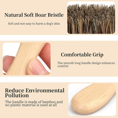 Soft Boar Bristle Dog Brush for Short Haired, Ideal Pet Hair Brush | Gentle Deshedding & Grooming Tool, Puppy Essentials for Grooming and Shedding4