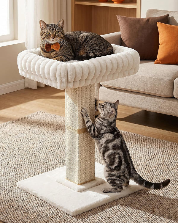 Morden Cat Scratching Post with Top Plush Bed for Indoor Cats | Removable & Washable Perch, Small Morden Cat Tree, Cat Tower with Scratch Post, Natural Sisal, White8