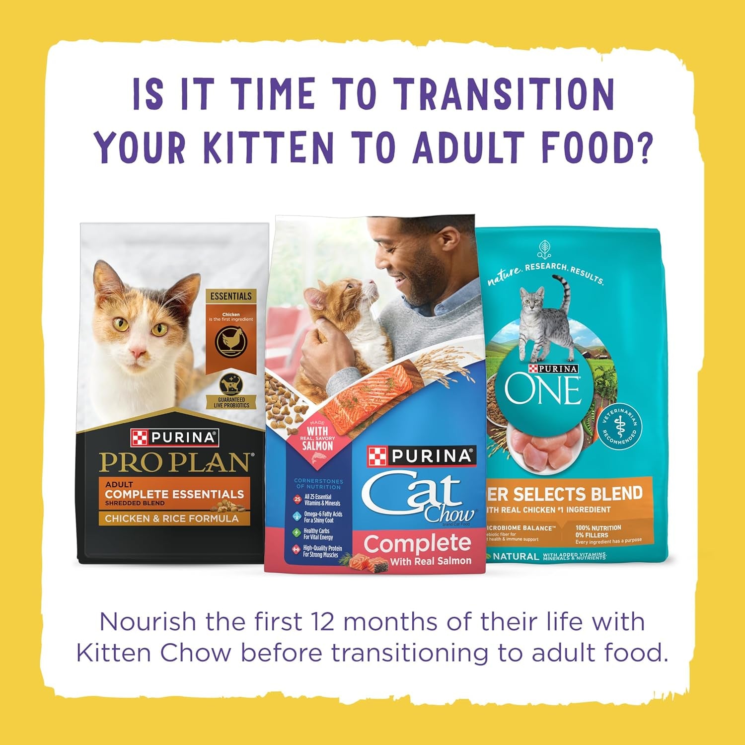 purina-kitten-chow-year-one-essentials-with-real-chicken-high-protein-complete-and-balanced-dry-kitten-food-with-essential-nutrients-14-lb-bag