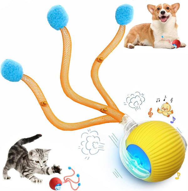 2 Packs Speed 2.0 Tail Interactive Cat Toys for Indoor Cats, Chirping & Motion Activate Cat Toy, Smart Kitten Rolling Ball Moving Ball Toys, Rechargeable Dog Cats Bal L for Enrichment Exercise18
